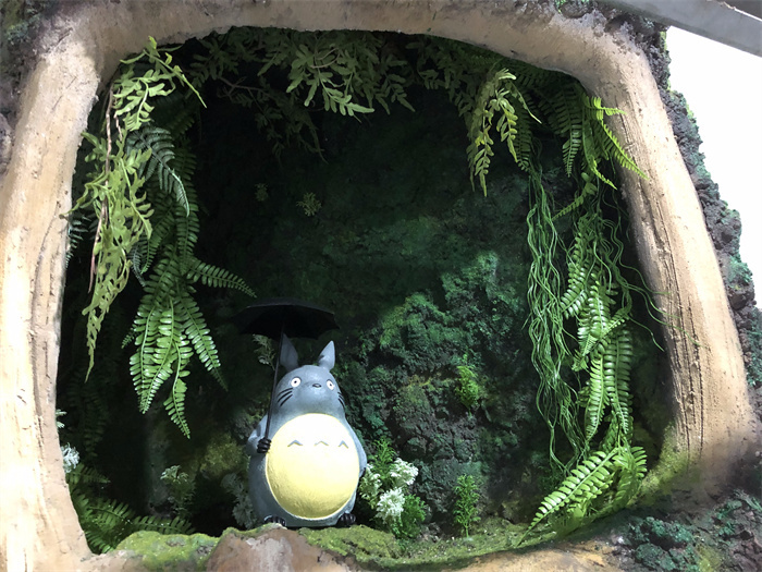 高新区一幼生态树